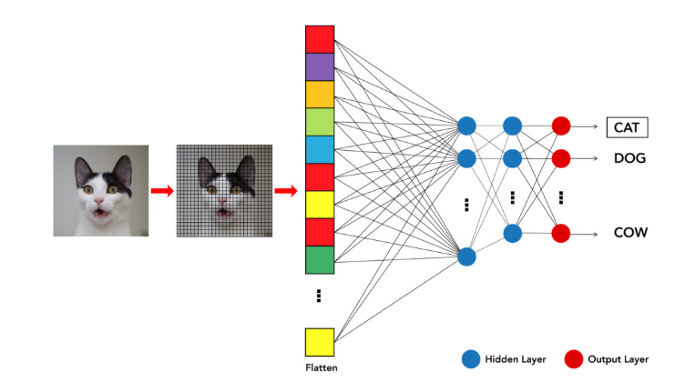 An image illustrating image recognition